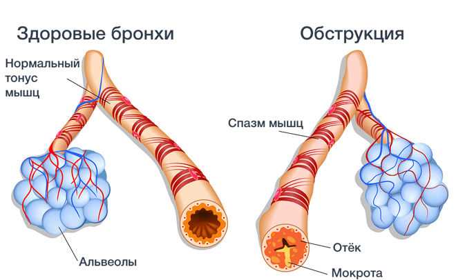 2. Фармакотерапия