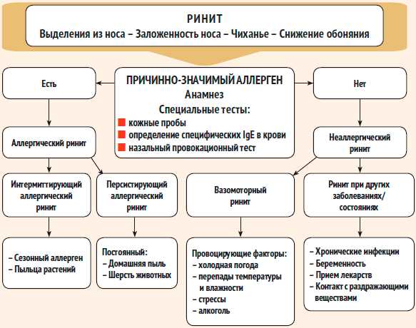 Аллергический ринит — эффективное лечение кортикостероидами в борьбе с неприятными симптомами аллергии