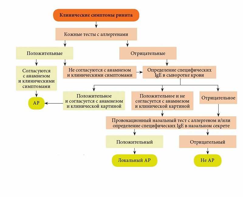 Основные симптомы аллергического ринита