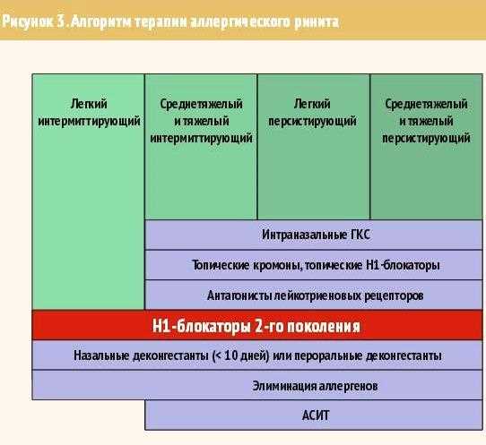 Аллергический ринит — как правильно диагностировать и лечить с учетом индивидуальных особенностей пациента