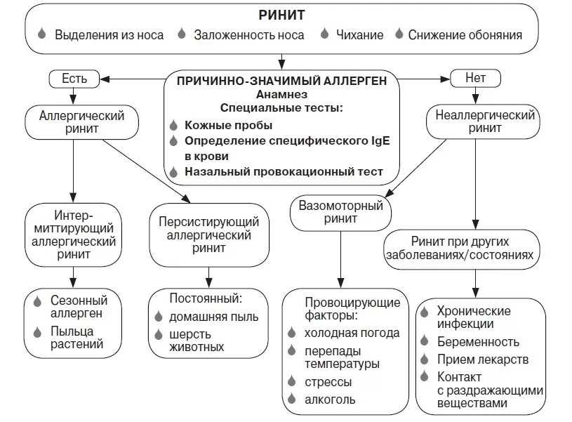 Аллергический ринит — причины, симптомы и эффективное лечение пыльцой растений