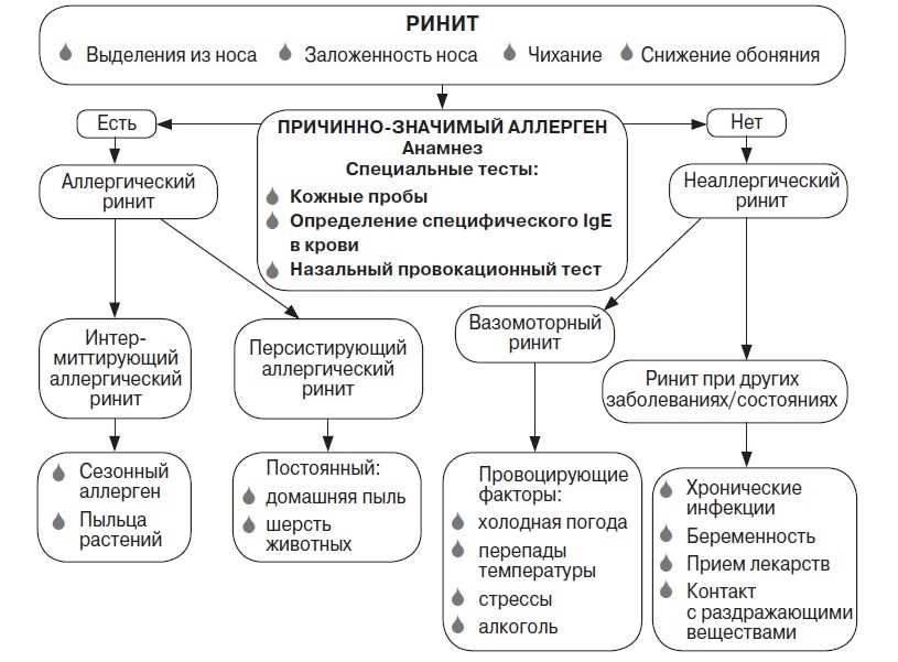 Аллергический ринит у детей