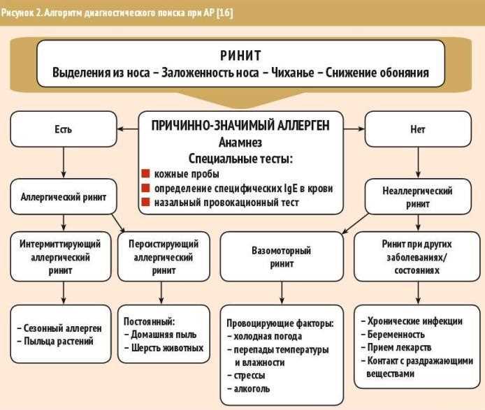 Аллергический ринит в декабре — симптомы, лечение и профилактика