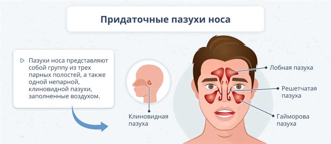 3. Повреждения слизистой носа