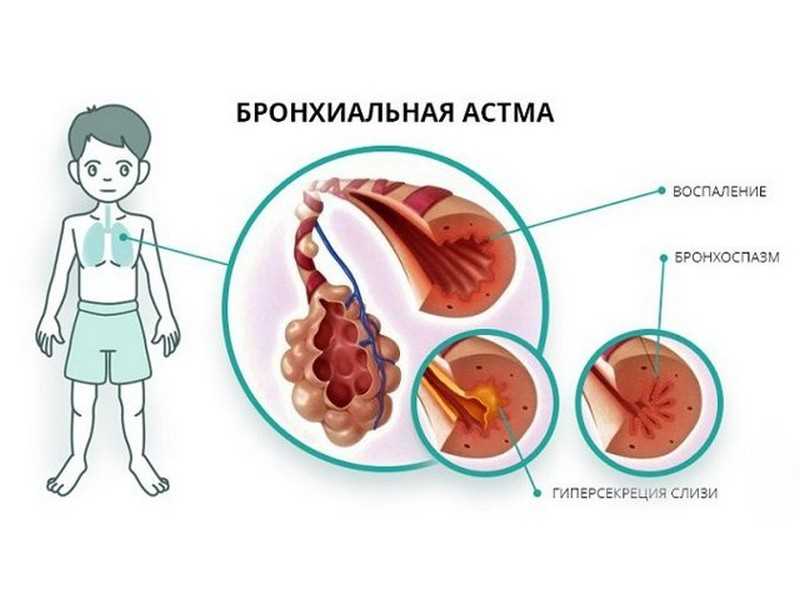 5. Функциональные исследования