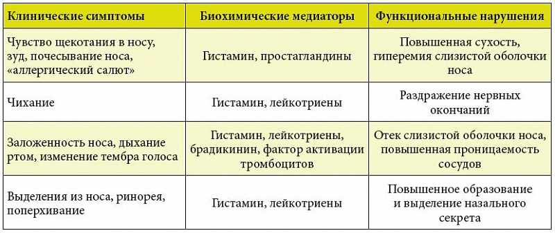 Метуласк при хроническом рините — оптимальная длительность курса лечения