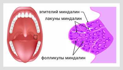 Препараты для лечения острого насморка у детей: