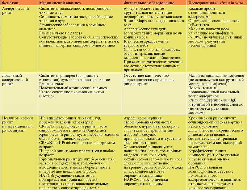 Панель астма-ринит для детей — возможности диагностики инвитро для точного определения заболеваний