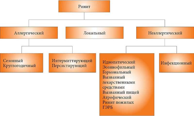 Виды ринита: аллергический, инфекционный, профессиональный