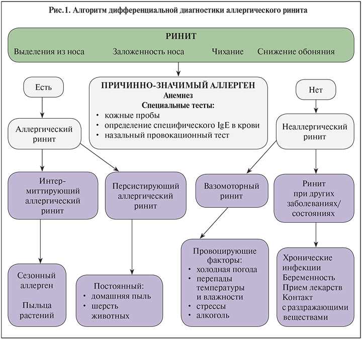 Диагностика аллергической реакции