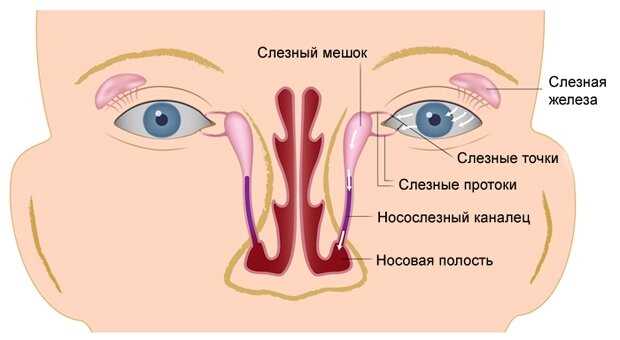 Причины слезящихся глаз при насморке