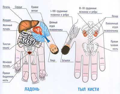 Су Джок лечение насморка эффективные методы и рекомендации